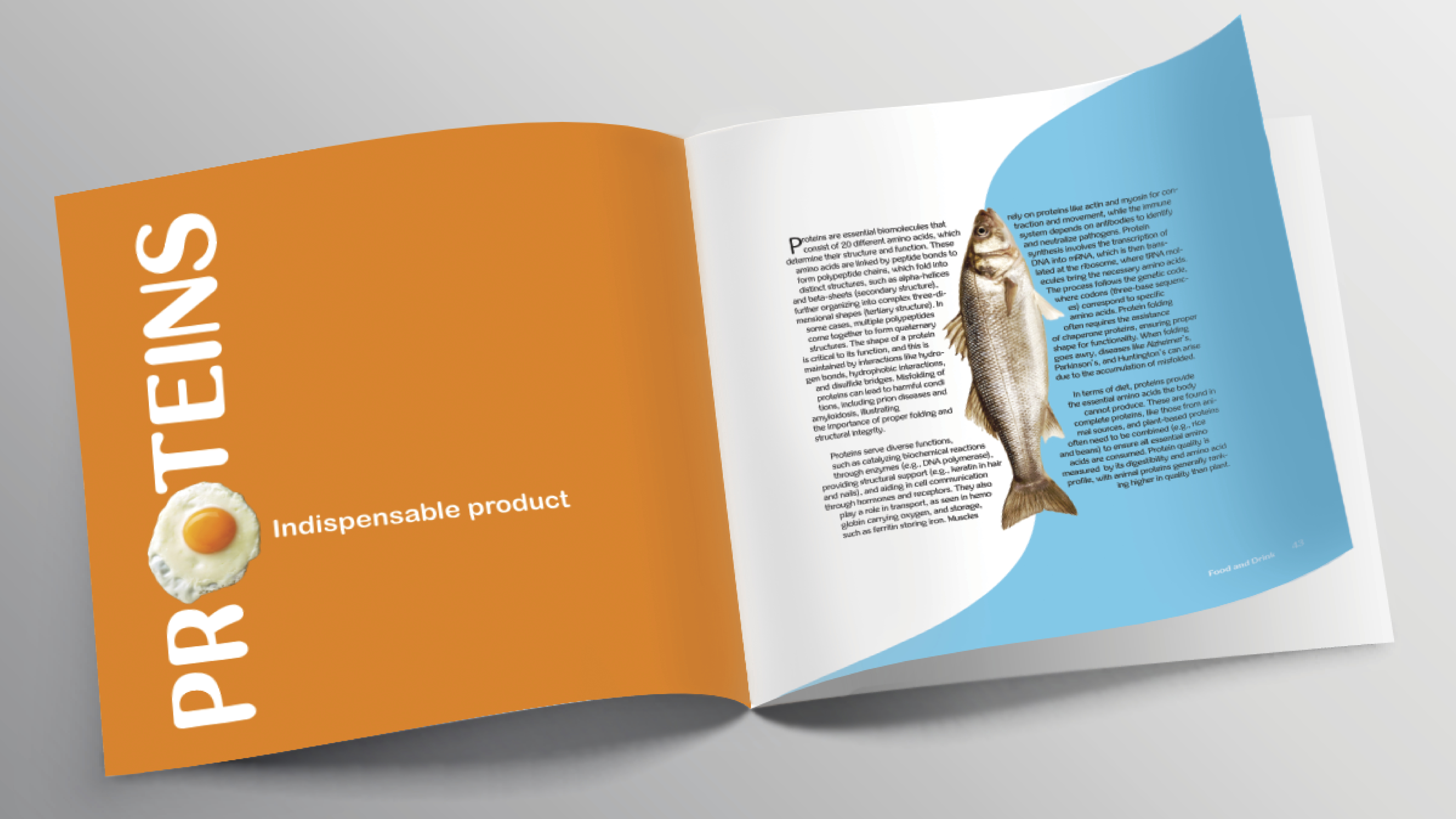 Magazine Protein Guide